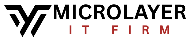 Microlayer IT Firm